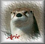 Arie name graphics