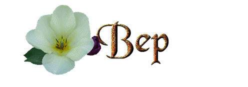 Bep name graphics