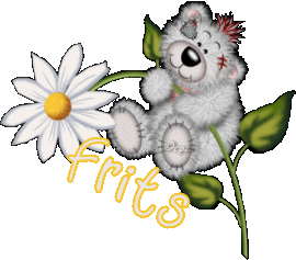 Frits name graphics
