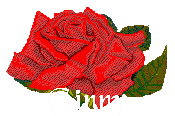 Ginny name graphics