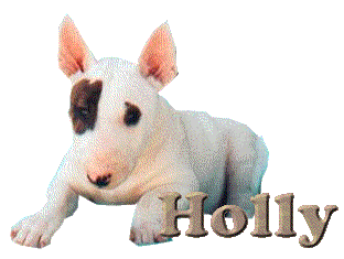 Holly name graphics