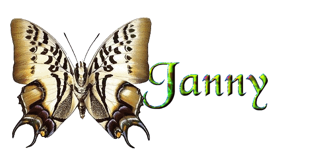 Janny name graphics
