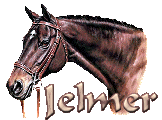 Jelmer name graphics