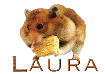 Laura name graphics
