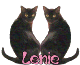 Lenie name graphics