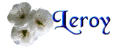 Leroy name graphics