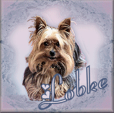 Lobke name graphics