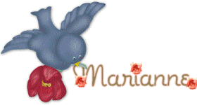 Marianne name graphics