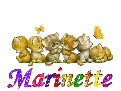 Marinette name graphics