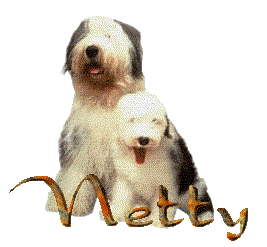 Netty name graphics