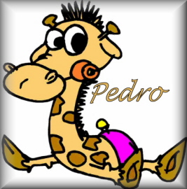 Pedro name graphics