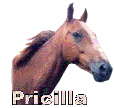 Pricilla name graphics