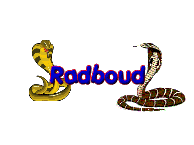 Radboud name graphics