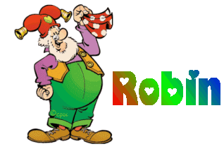 Robin name graphics