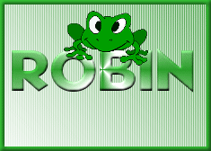 Robin name graphics