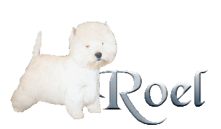 Roel name graphics