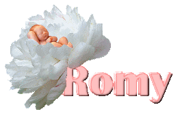 Romy name graphics