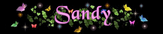 Sandy name graphics
