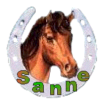 Sanne name graphics