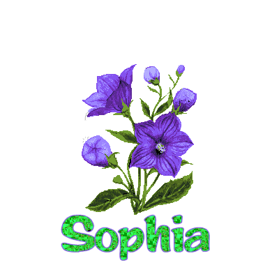 Sophia name graphics