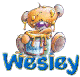 Wesley name graphics