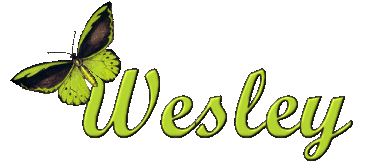 Wesley name graphics