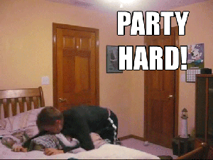 Party hard swag reaction gifs