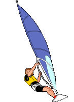 Surfing sport graphics