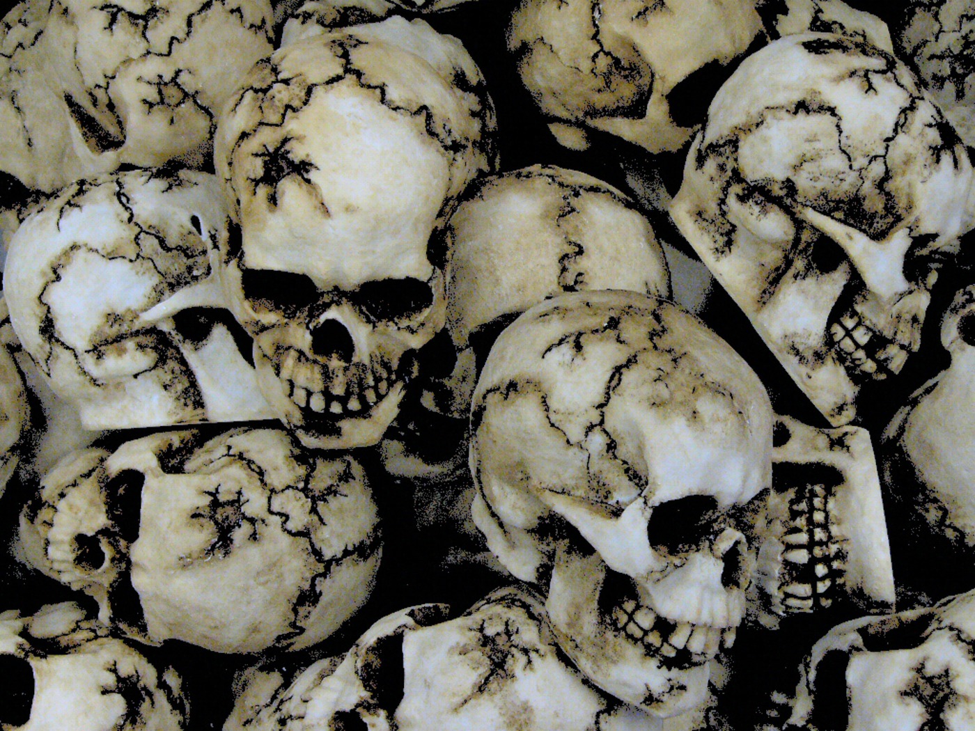 Skull wallpapers